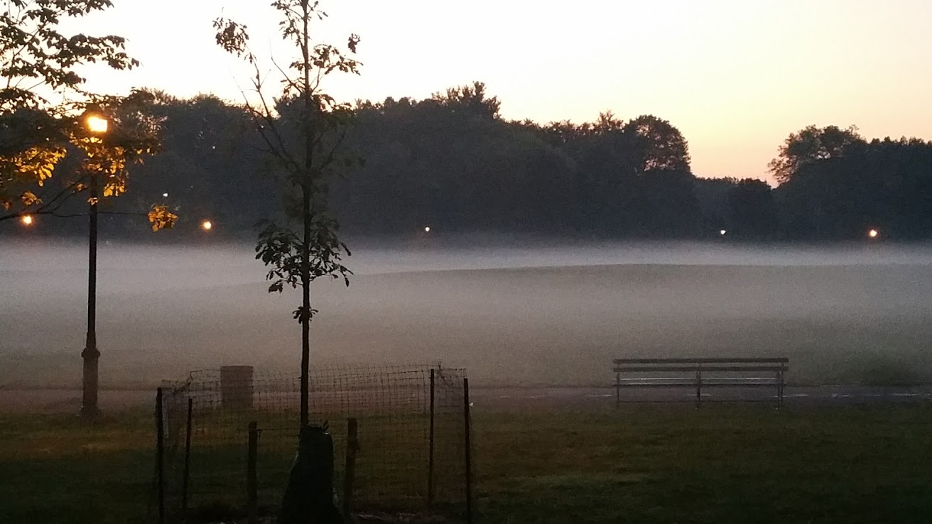 Foggy Park1