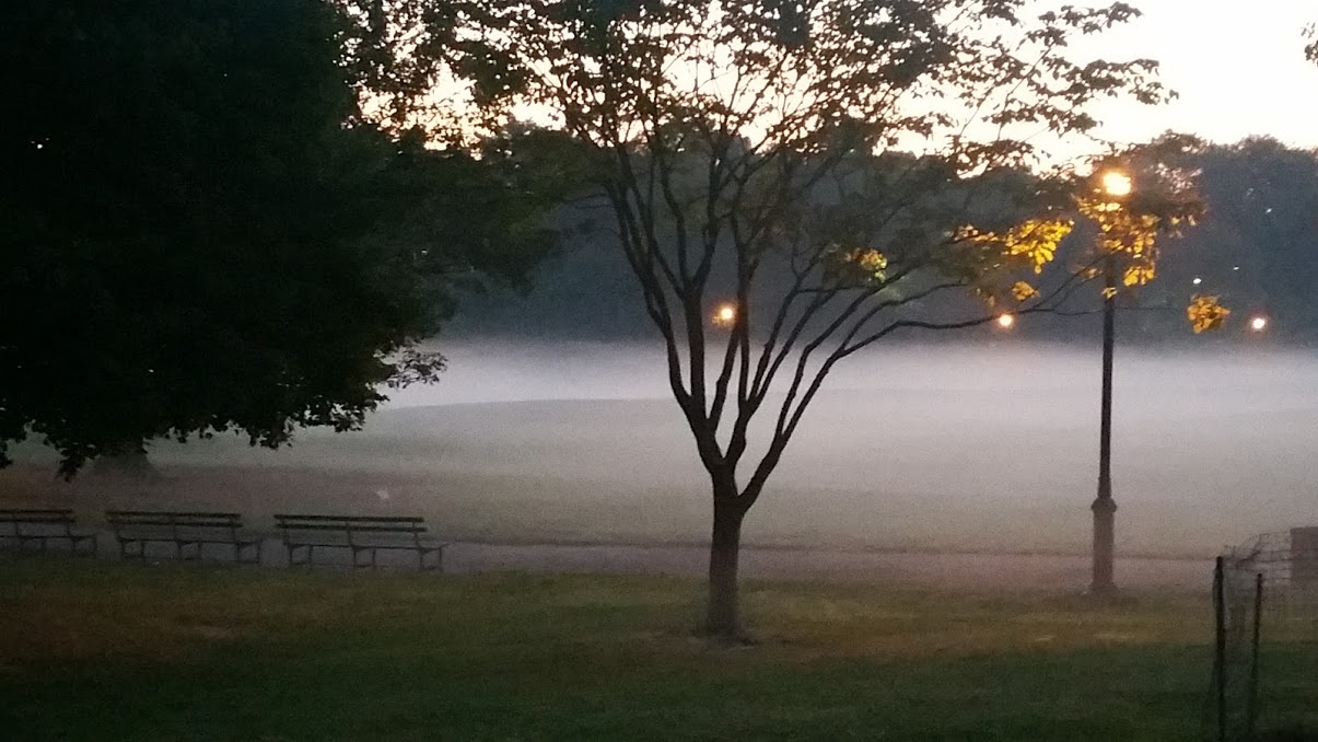Foggy Park2.jpg