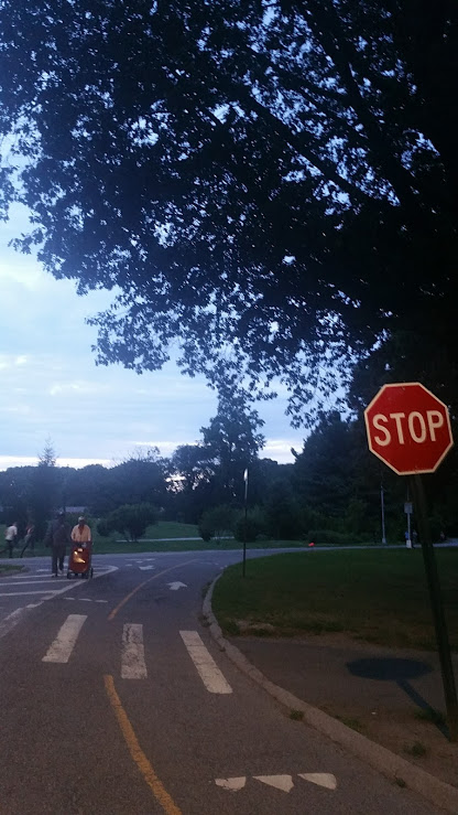 Prospect Park Evening